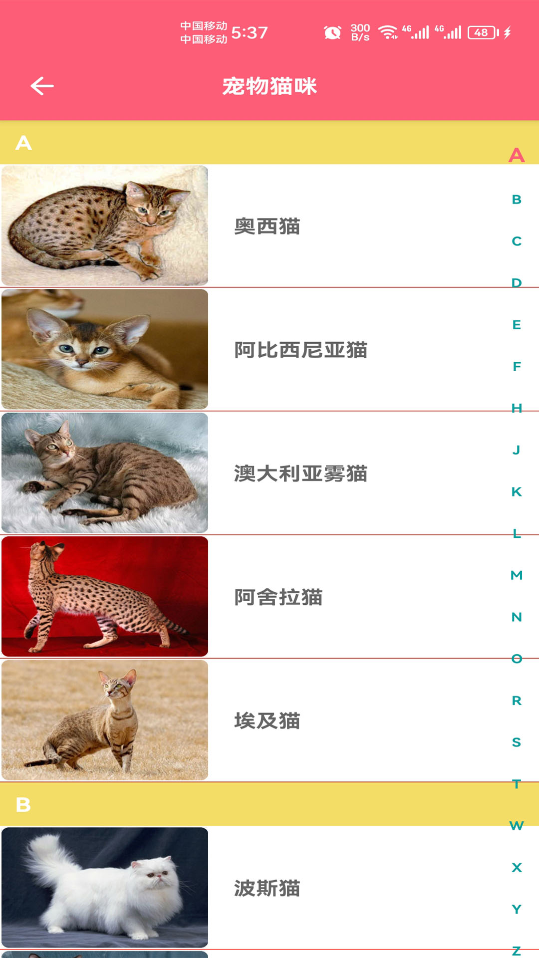 宠物宝宝大全截图
