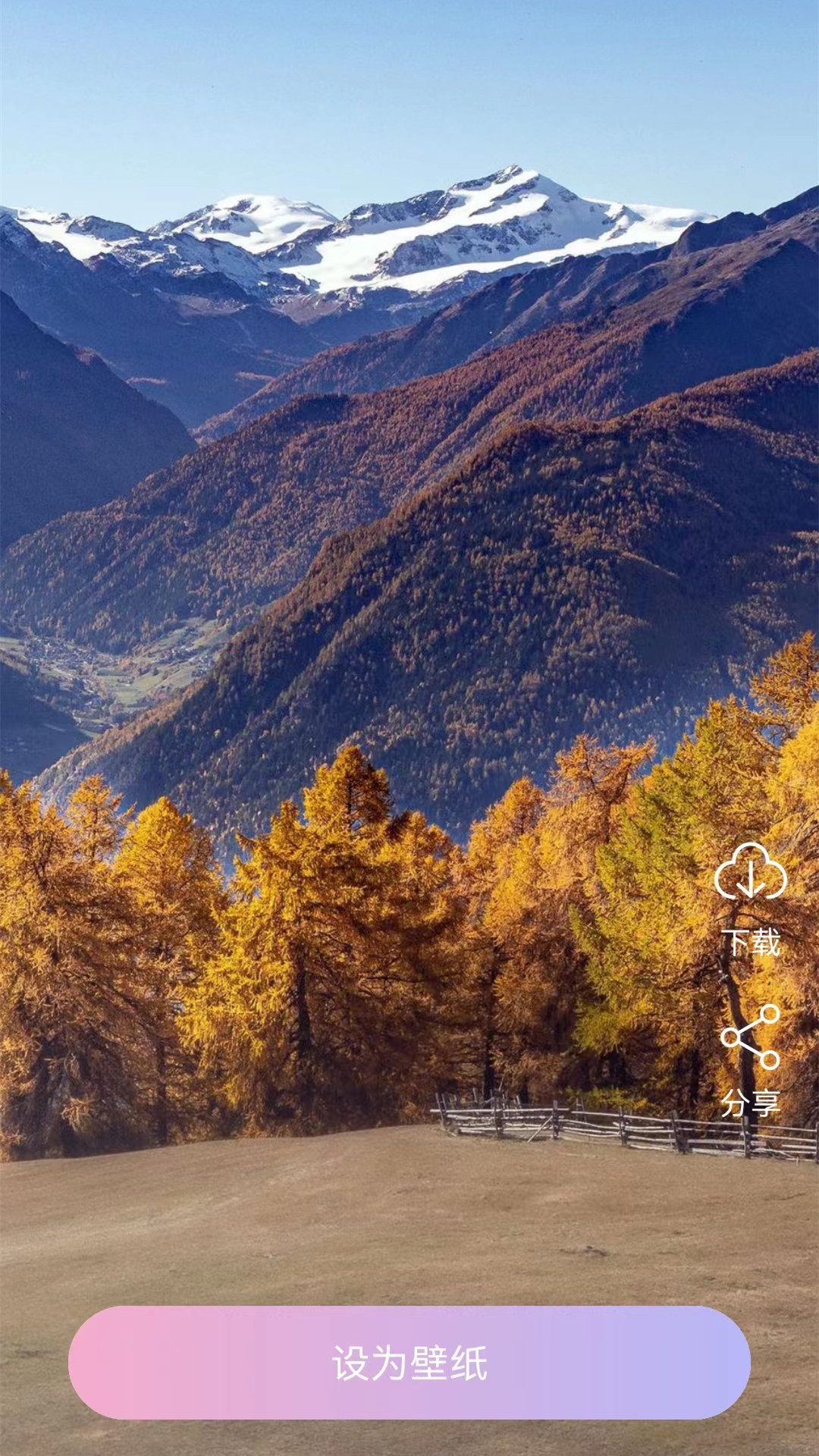 高清动态壁纸截图