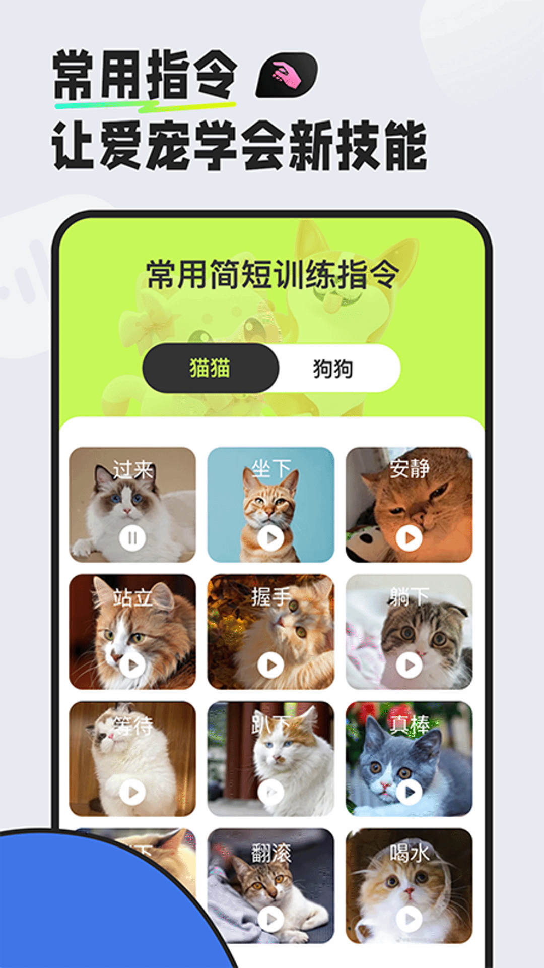 猫狗对话翻译器截图