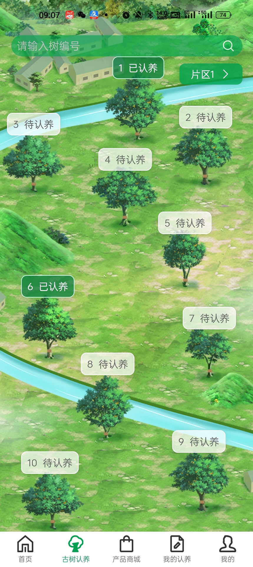 古树咖啡认养截图