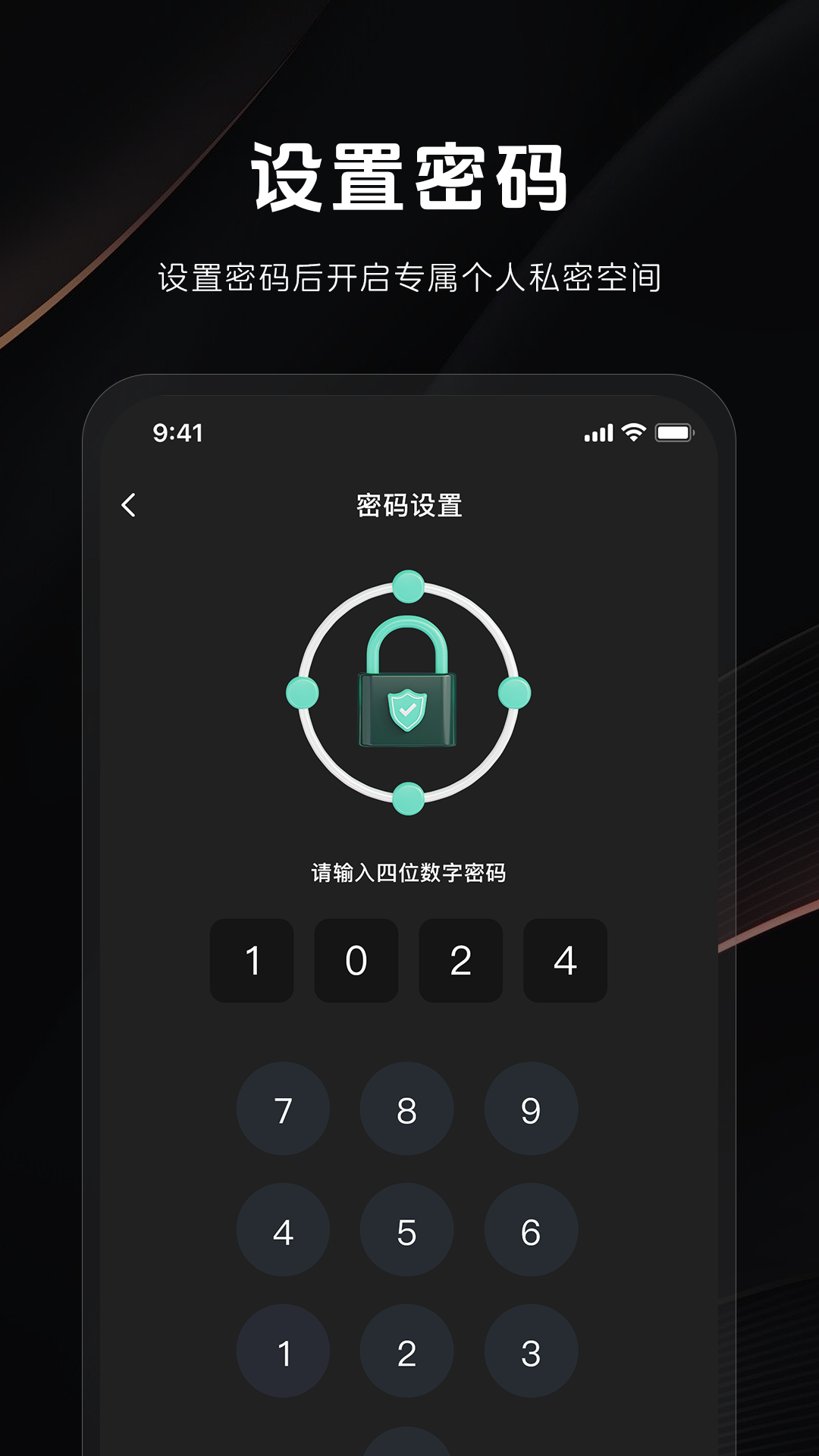 秘密隐私播放器截图