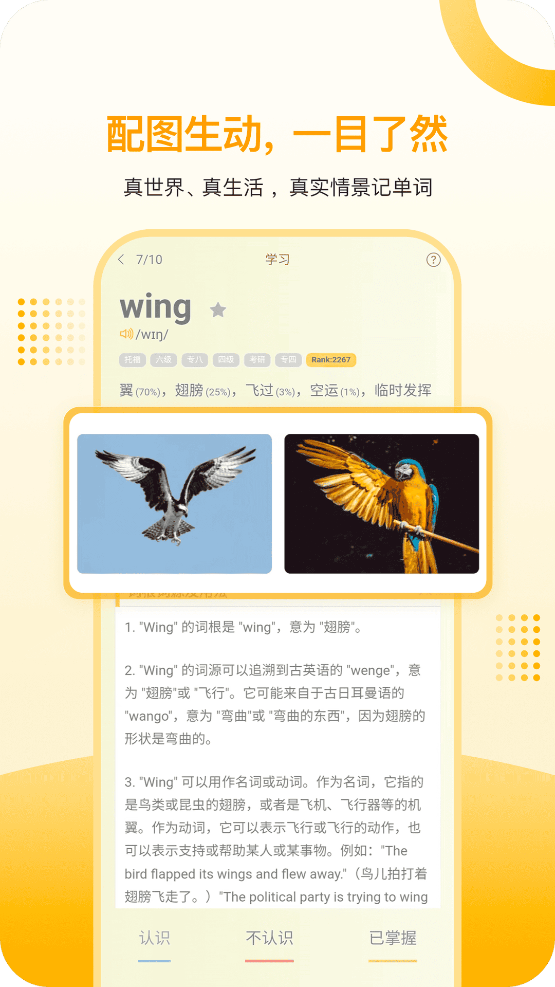 过目不忘单词截图