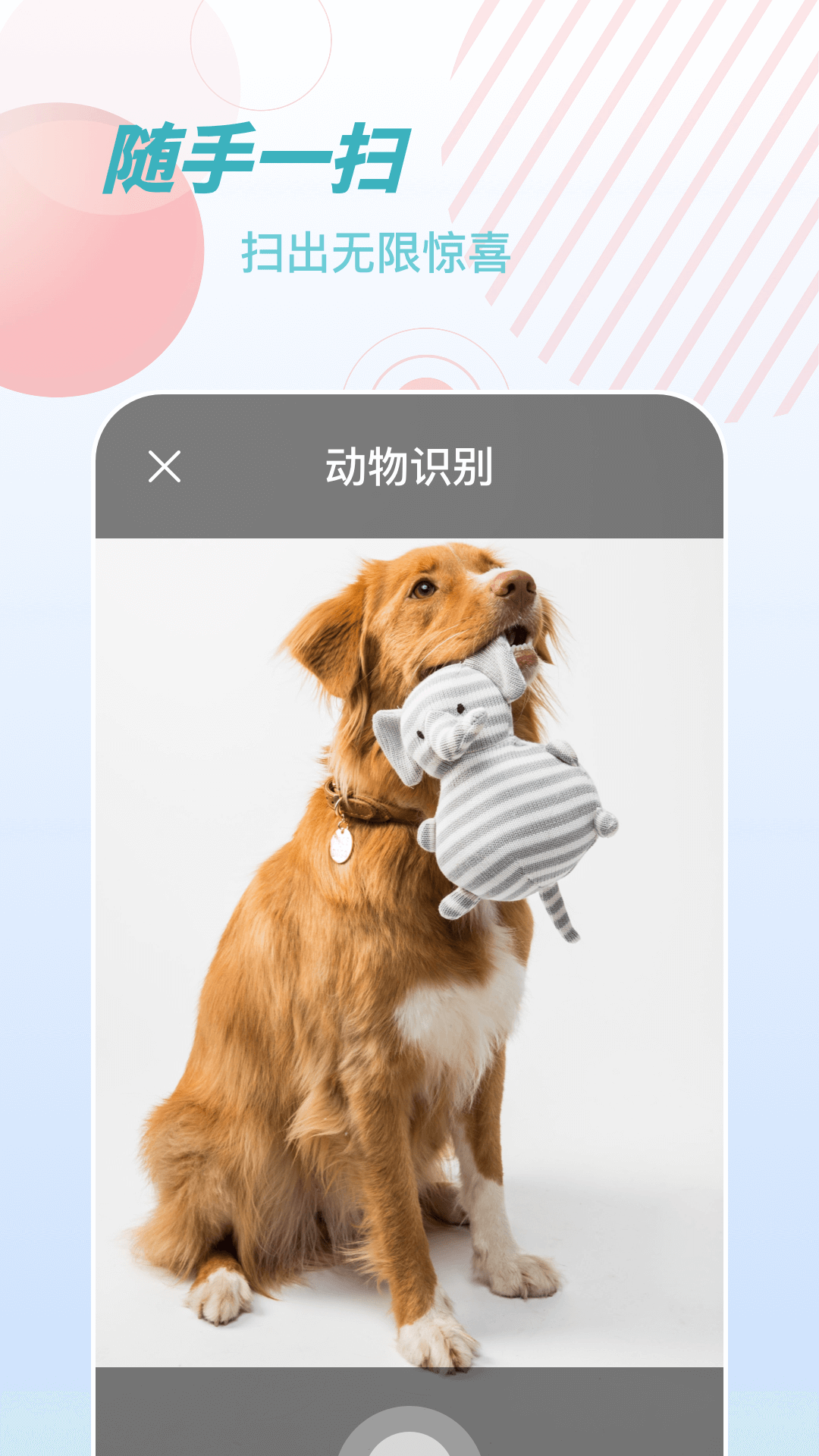 物品识别师截图