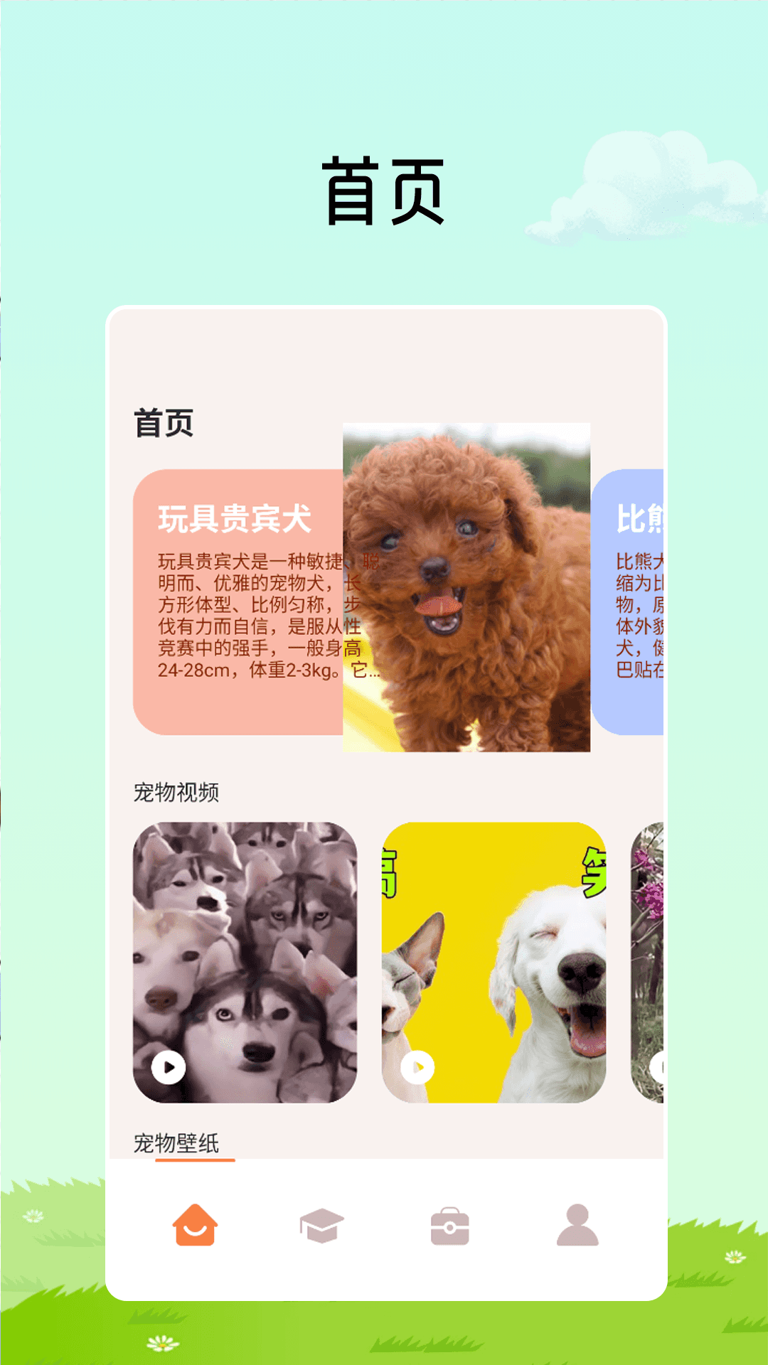 猫咪解压馆截图