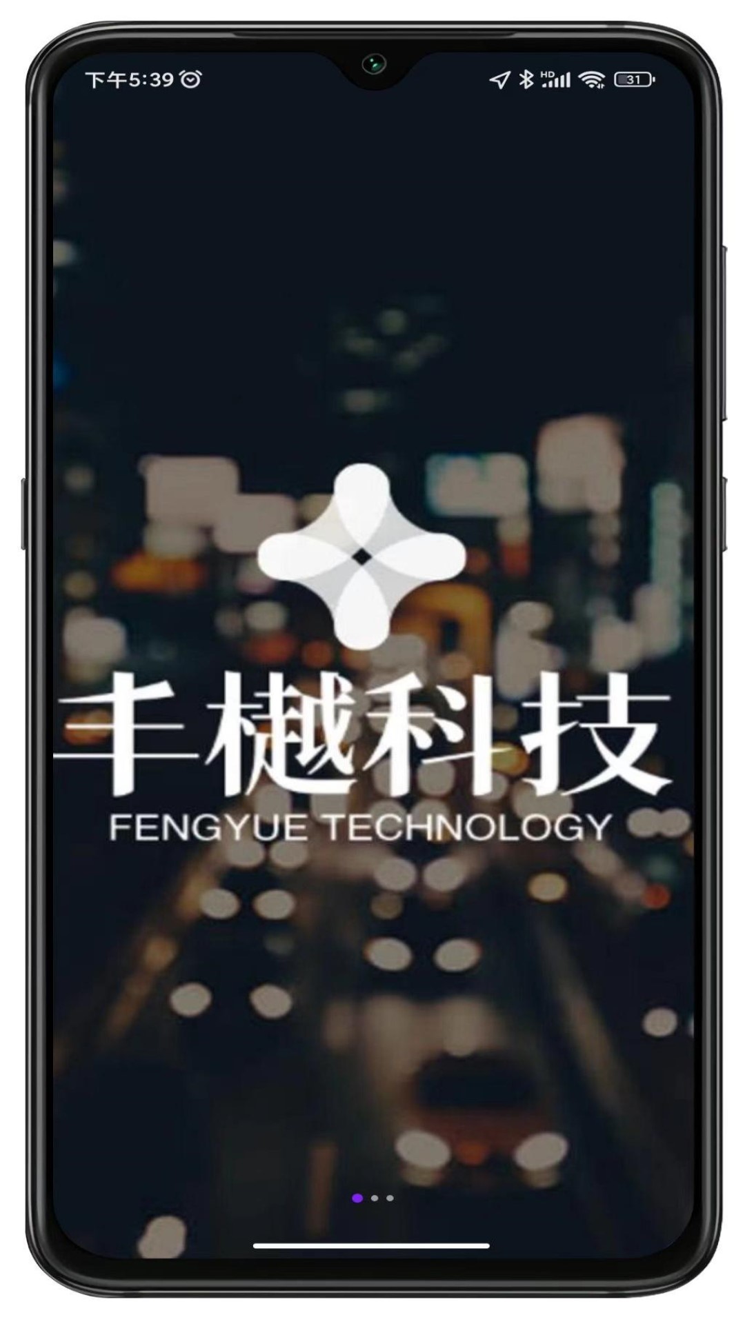 丰樾智服云截图