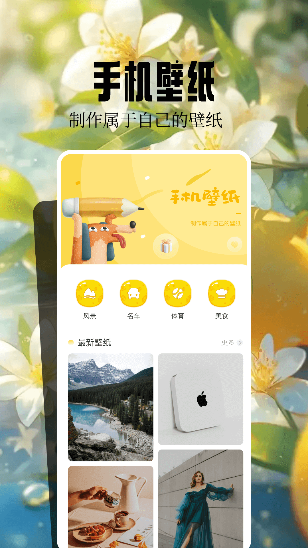 桌面壁纸精灵截图