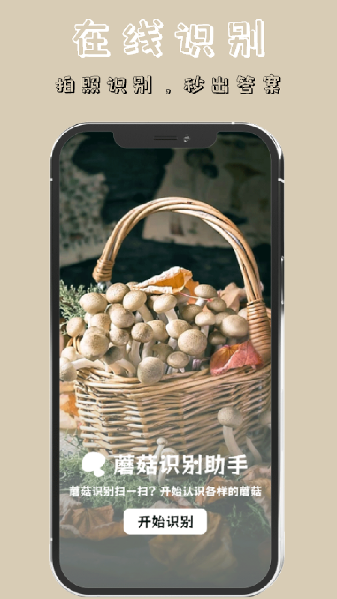 蘑菇识别截图