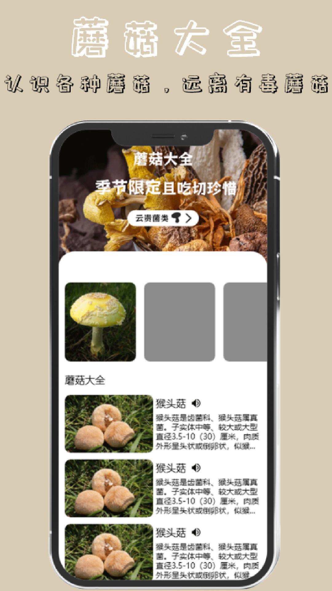 蘑菇识别截图