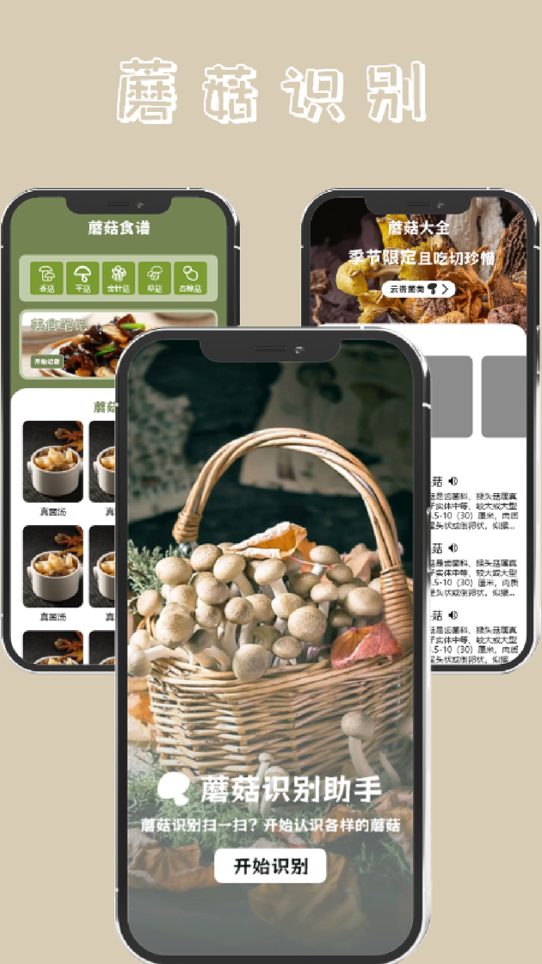蘑菇识别截图