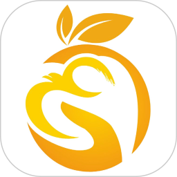 橙子直聘电脑版