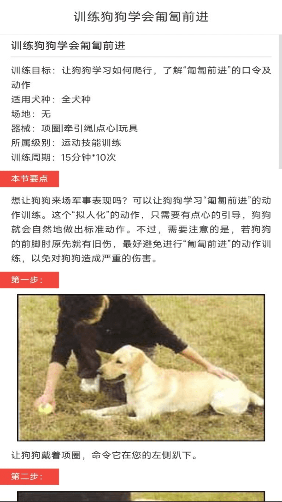 动物对话翻译器截图