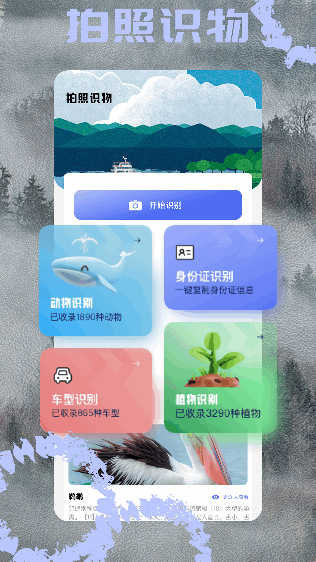小马工具箱截图
