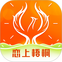 恋上梧桐电脑版