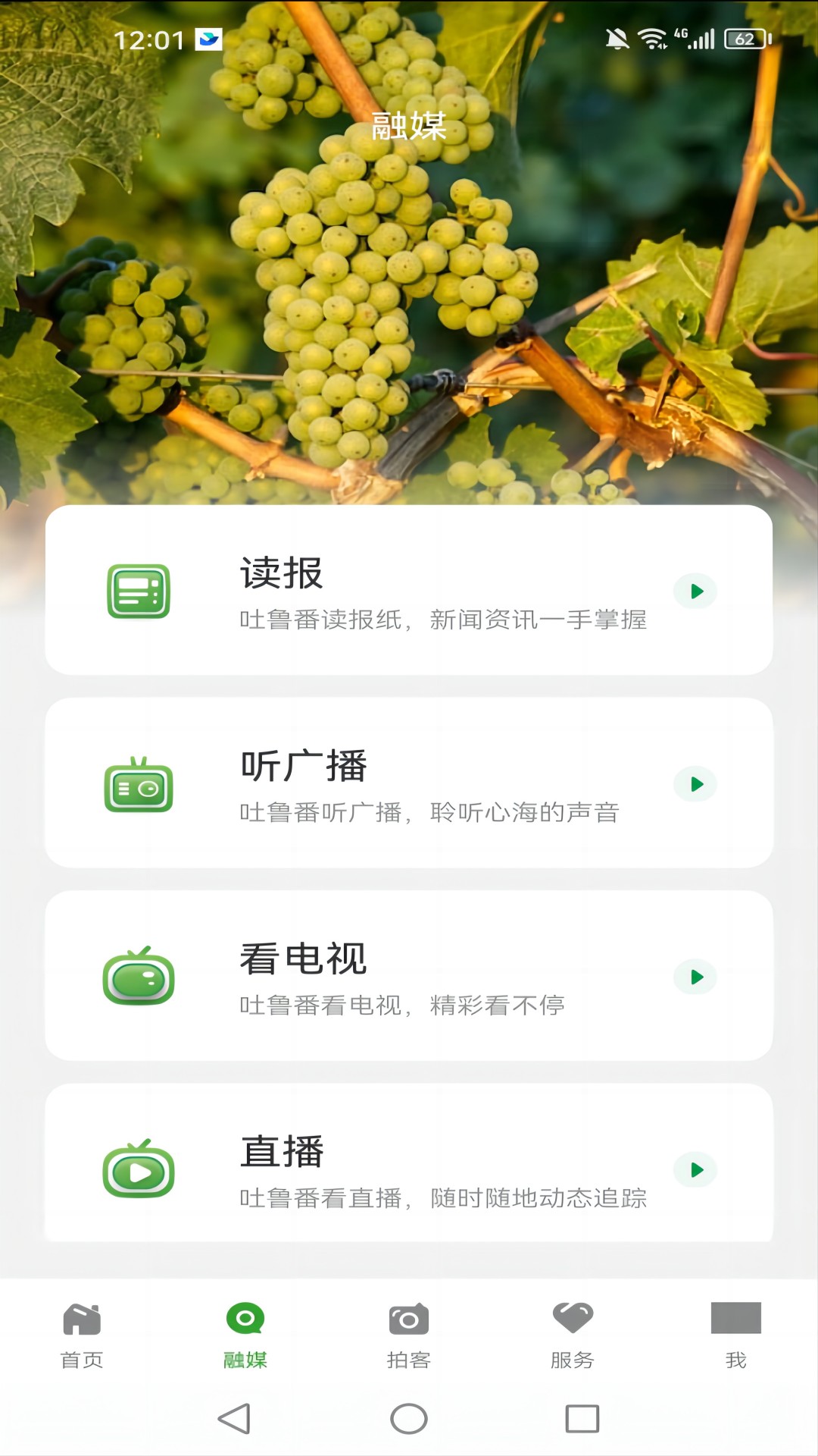 葡萄熟了截图