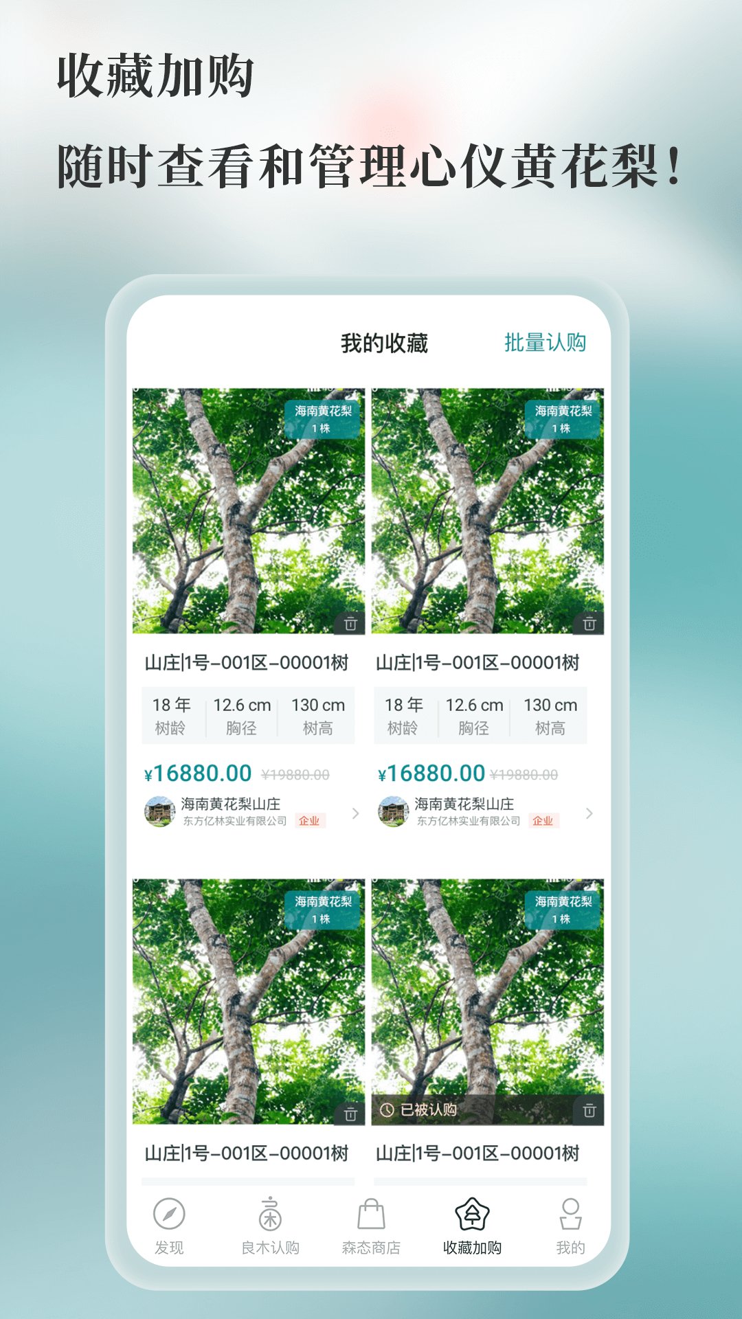 良木森林截图