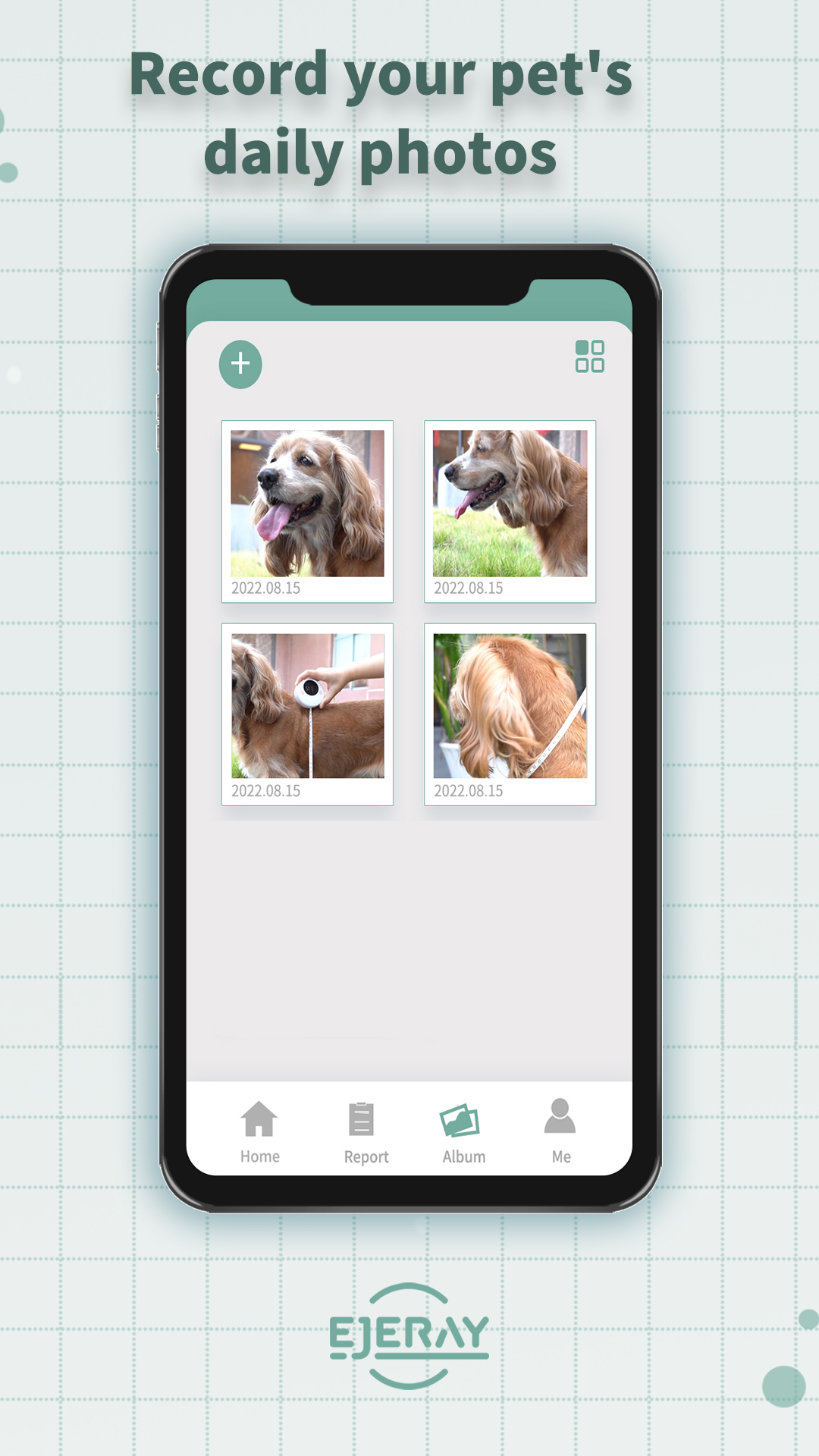 Petgrow截图