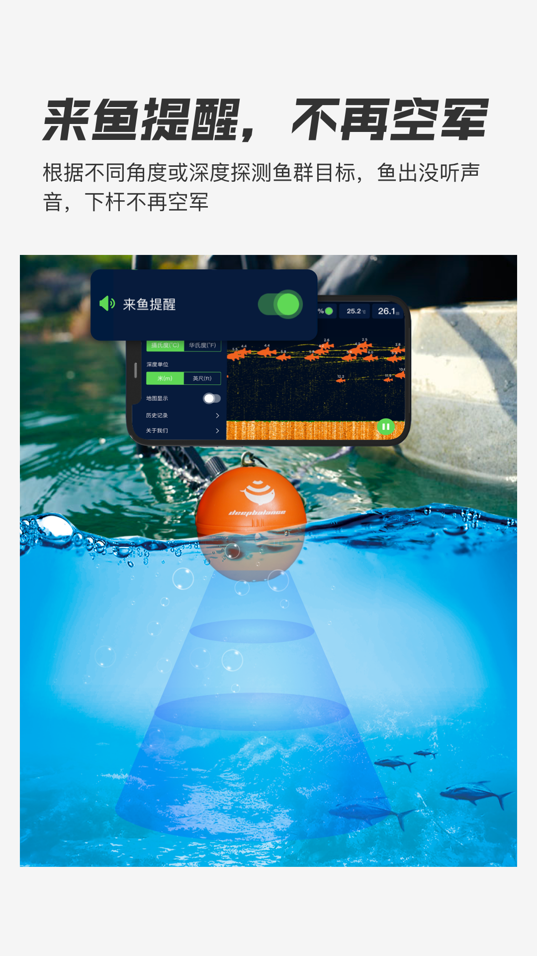 Deepbalance截图