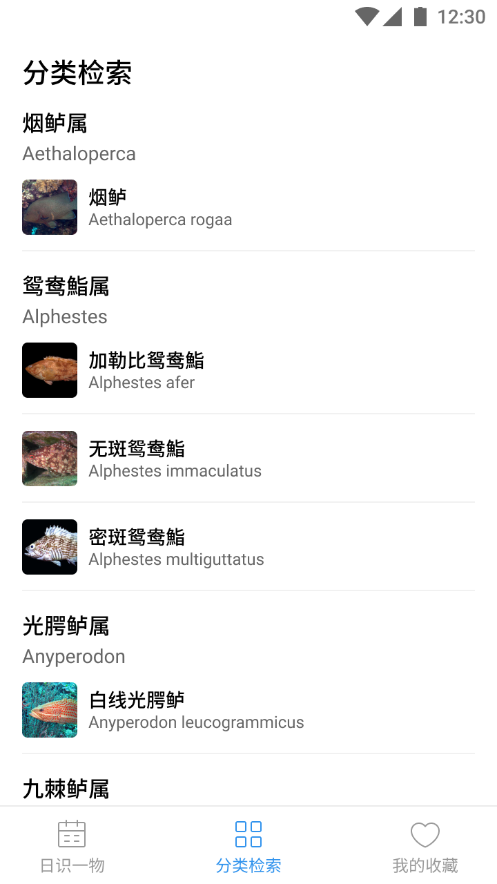 奇妙海洋截图