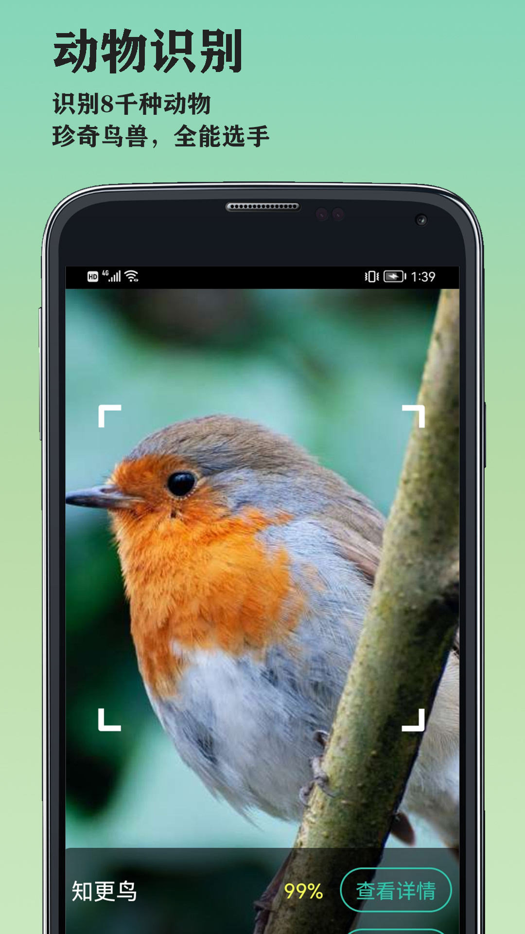 图片识别大师截图