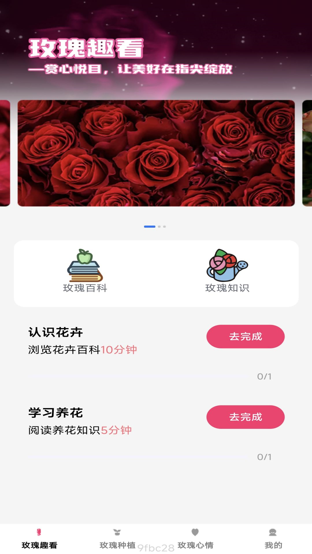 趣看玫瑰截图