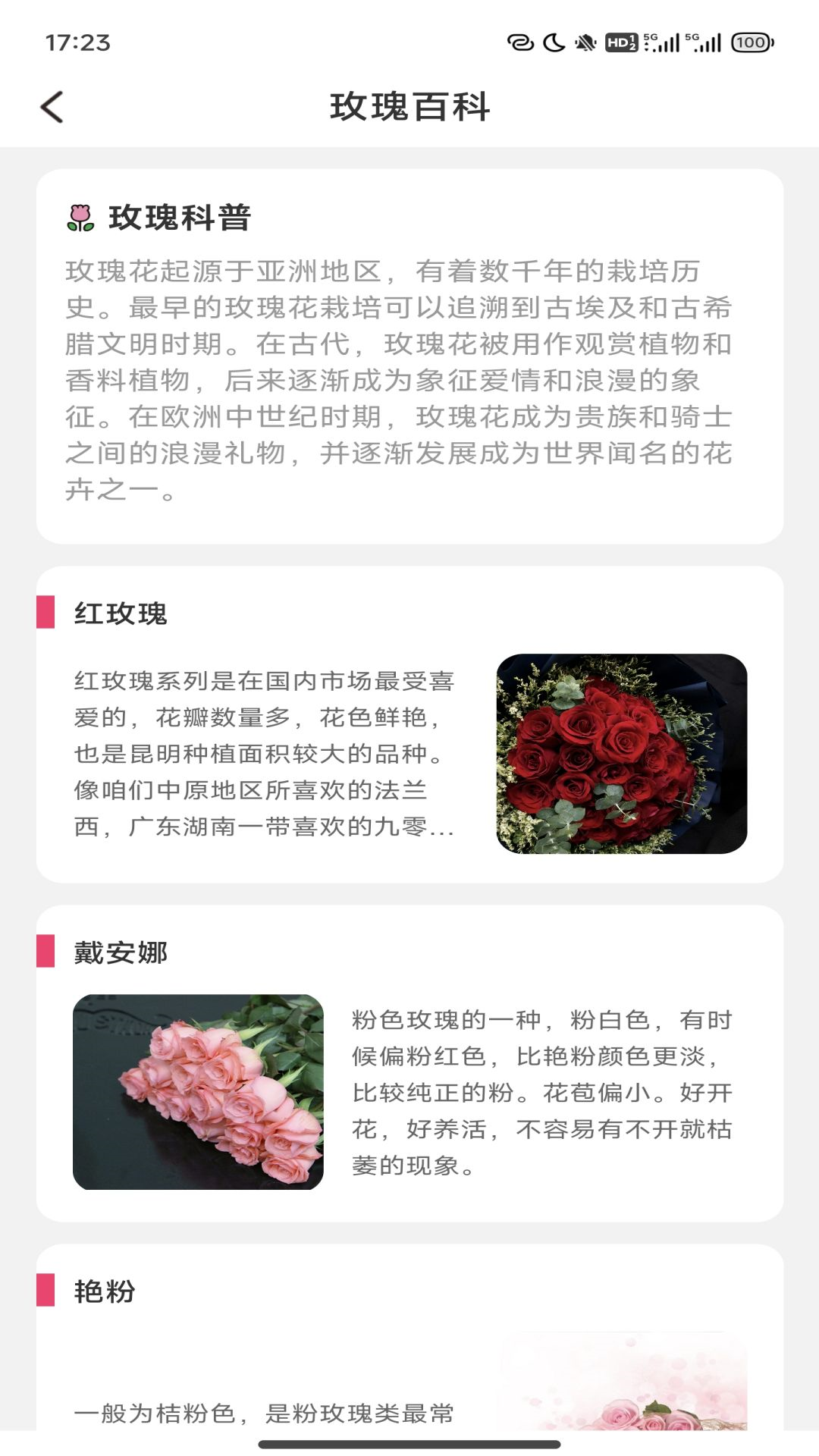 趣看玫瑰截图