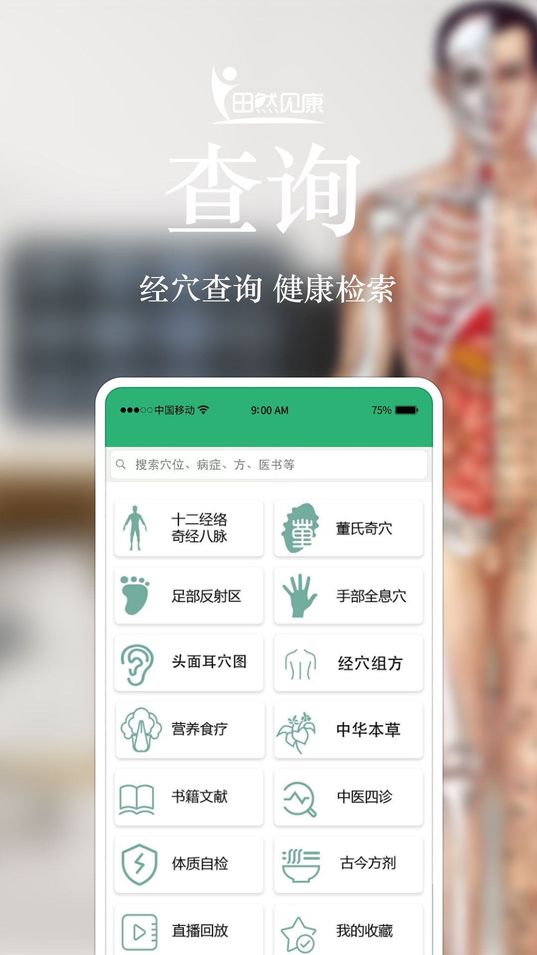 田然见康截图