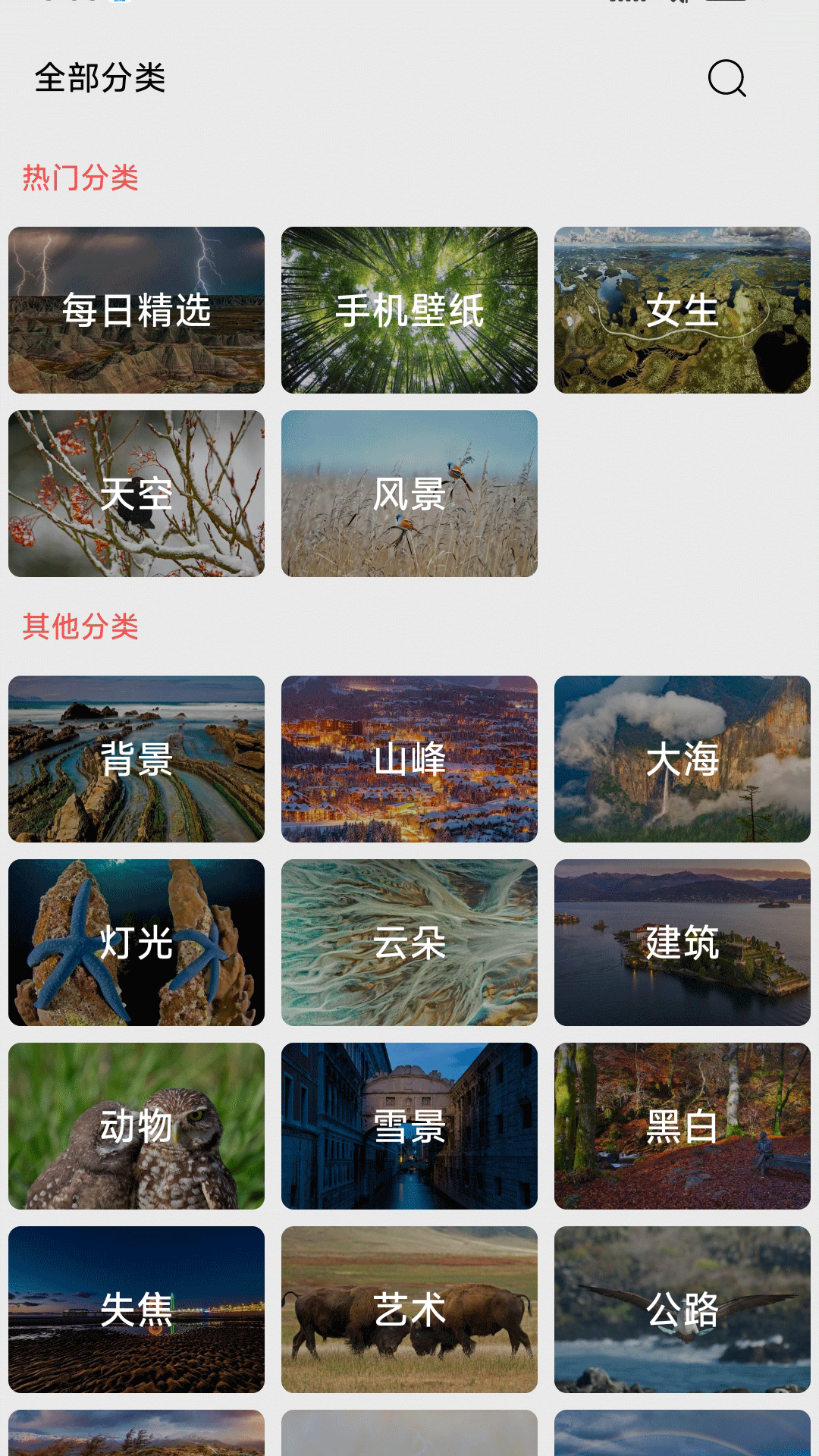 伞果壁纸截图