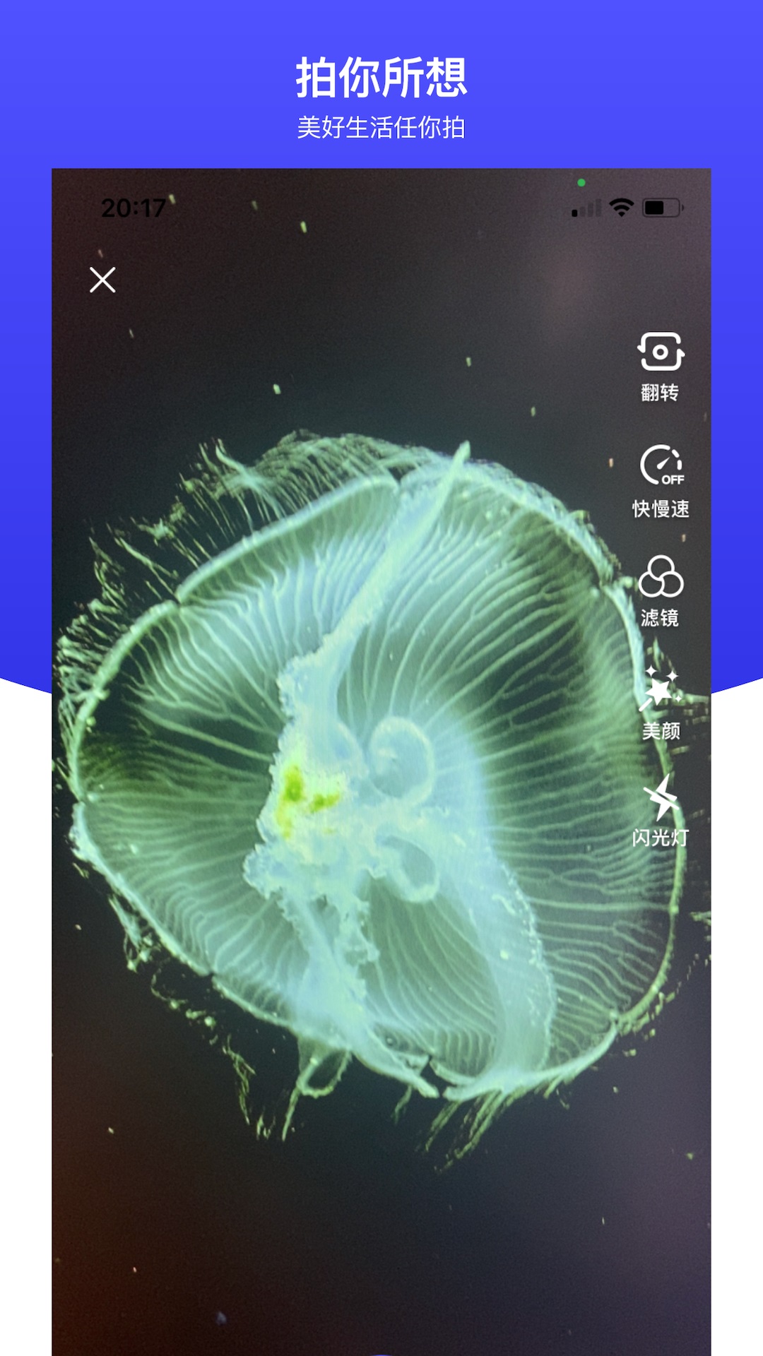 世子播播截图