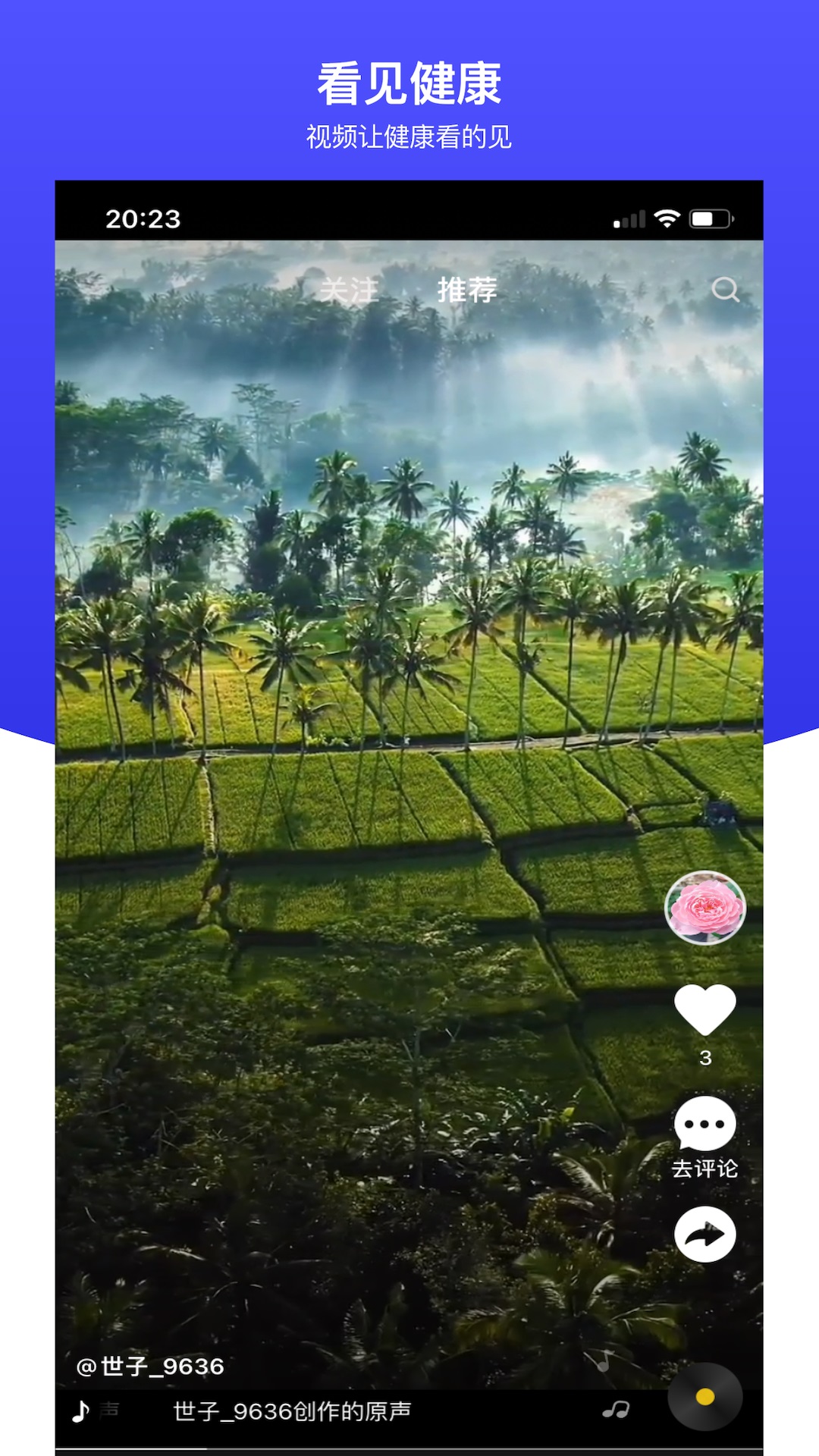 世子播播截图