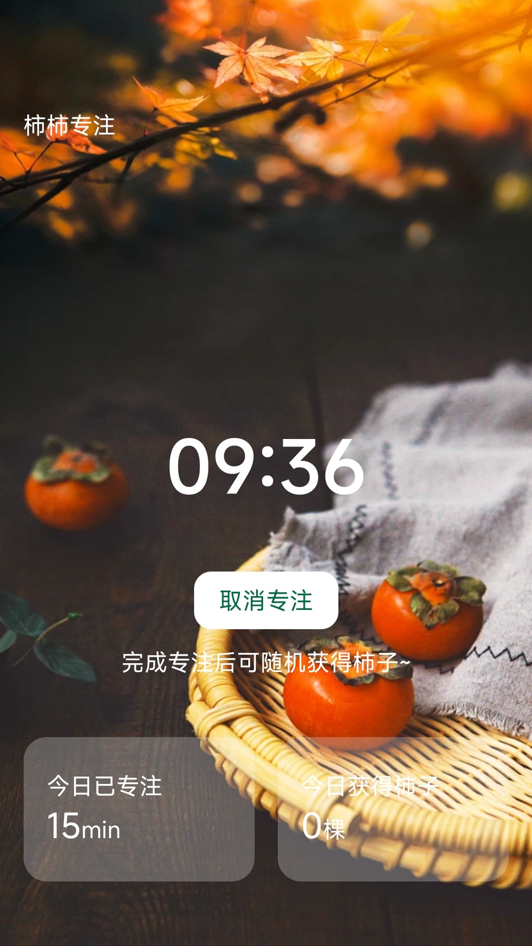 柿柿乐行截图