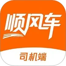 迪迪顺风车主