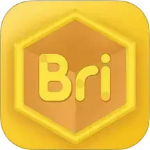 Bricube学生端电脑版