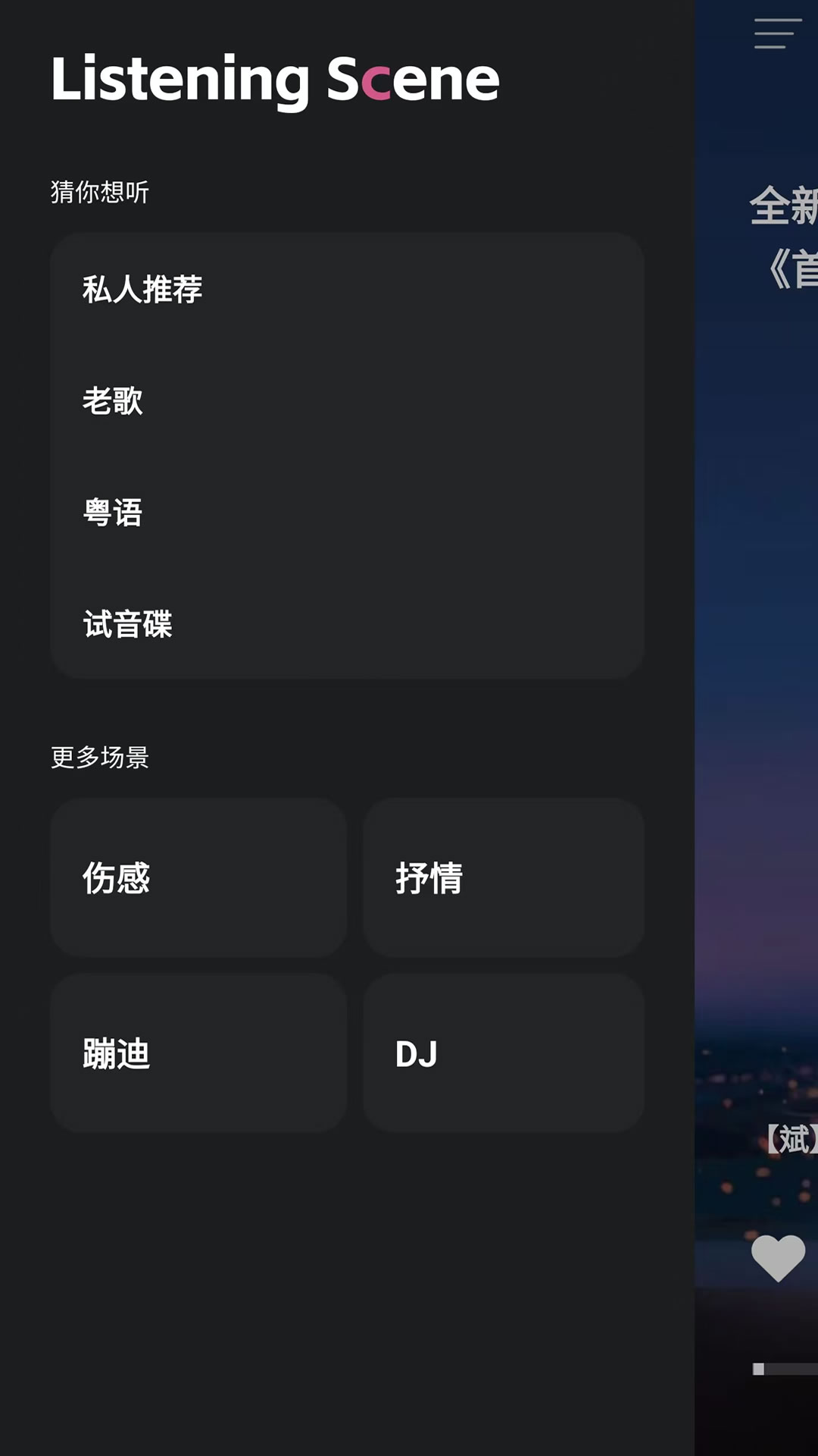 车载音乐库截图