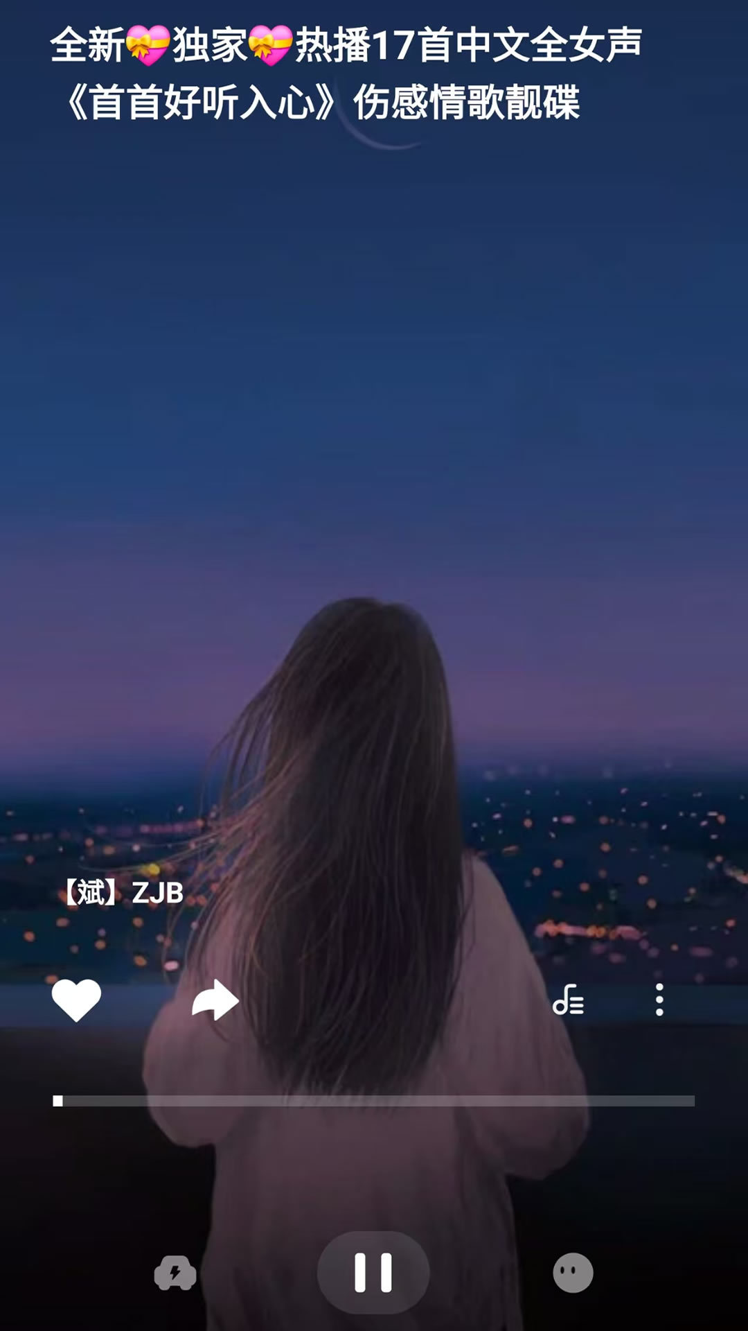 车载音乐库截图