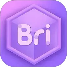 Bricube教师电脑版