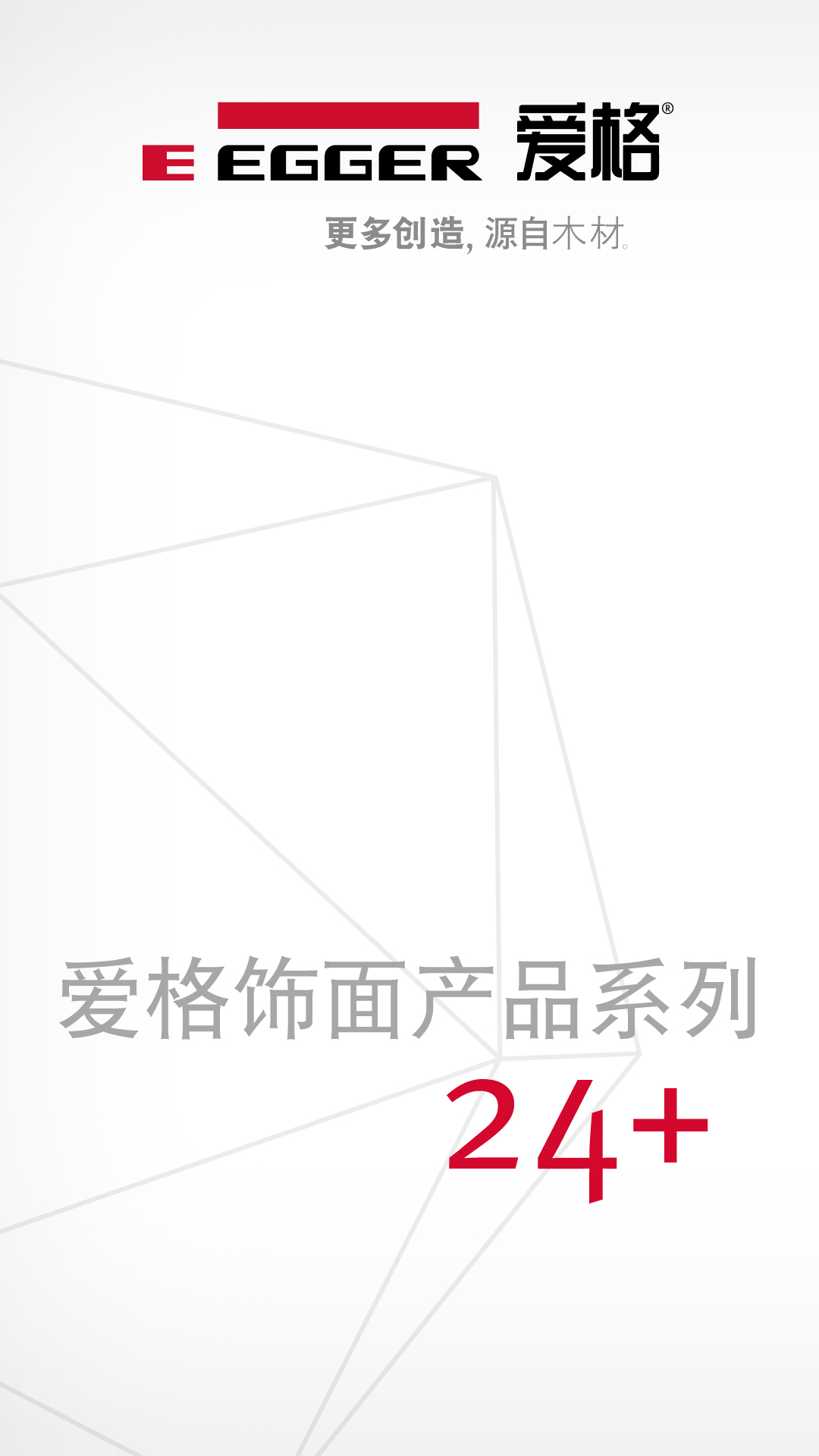 爱格饰面产品系列截图