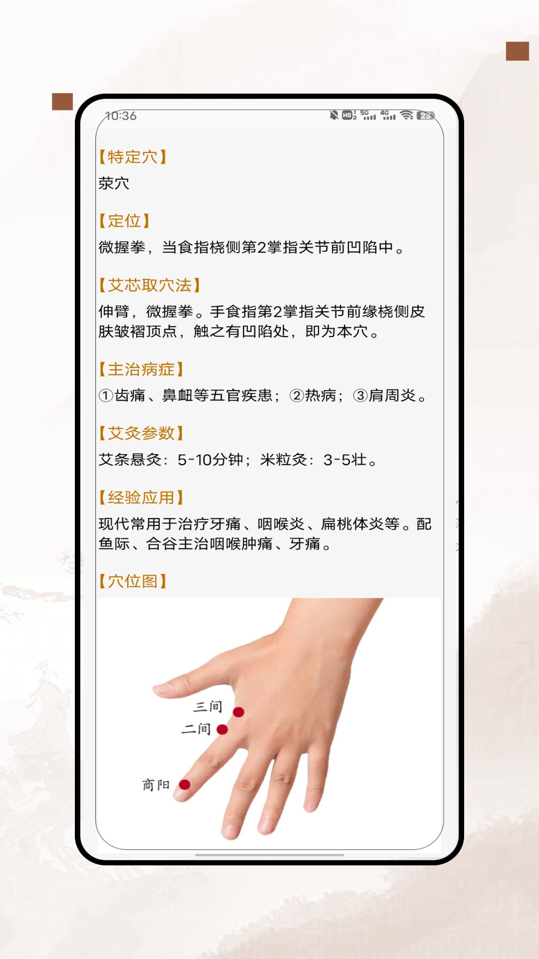 经络穴位图截图