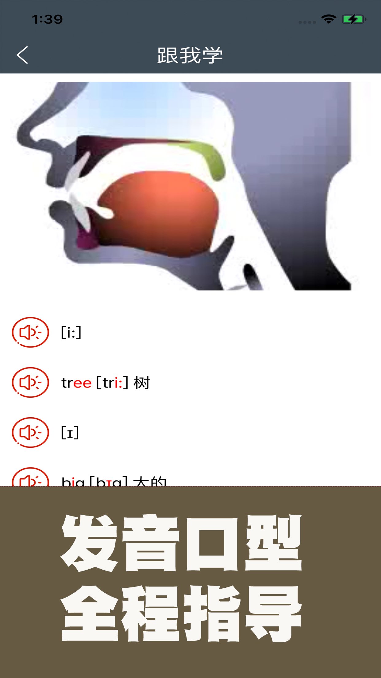 小学英语自然拼读课堂截图