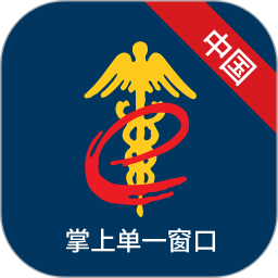 掌上单一窗口电脑版