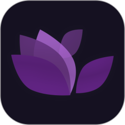 繁花直播电脑版