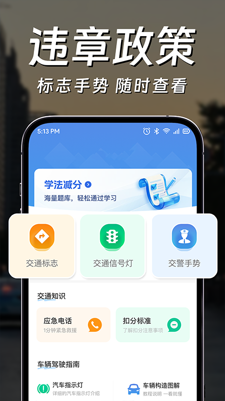违章电子狗截图