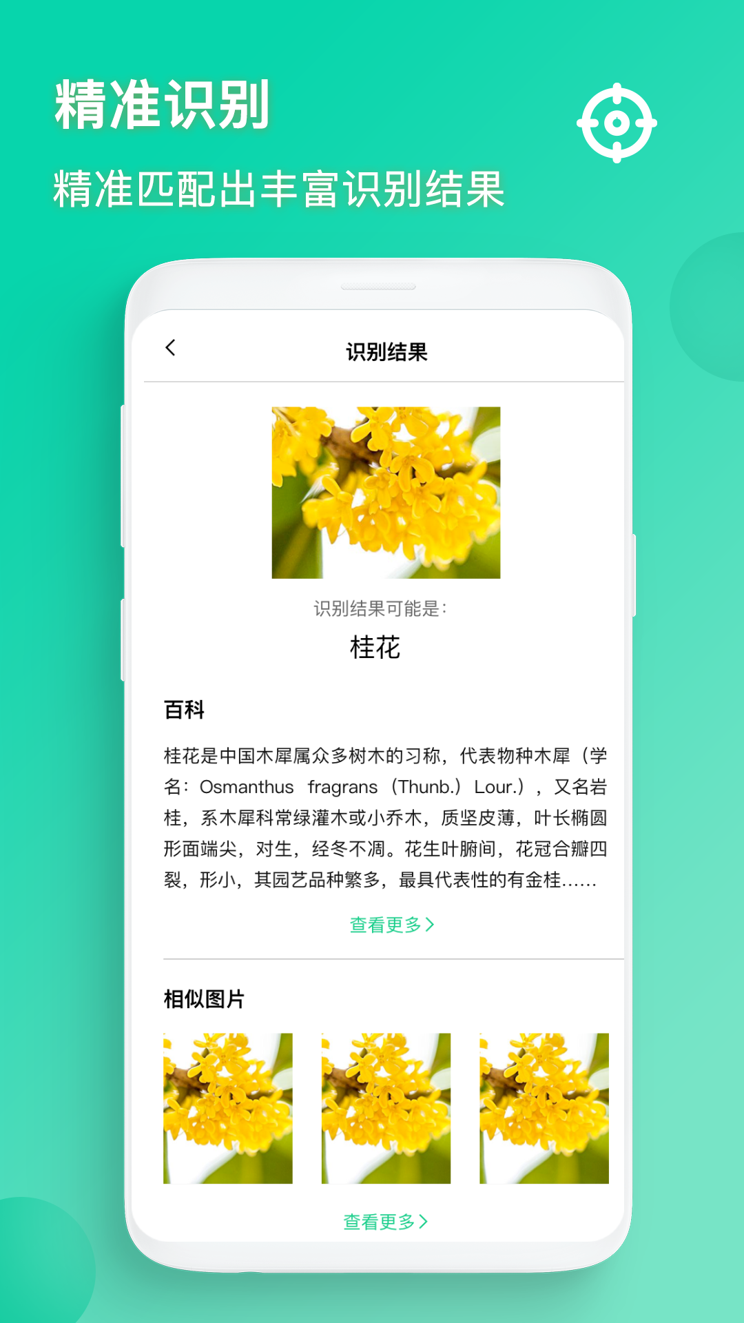 识图截图
