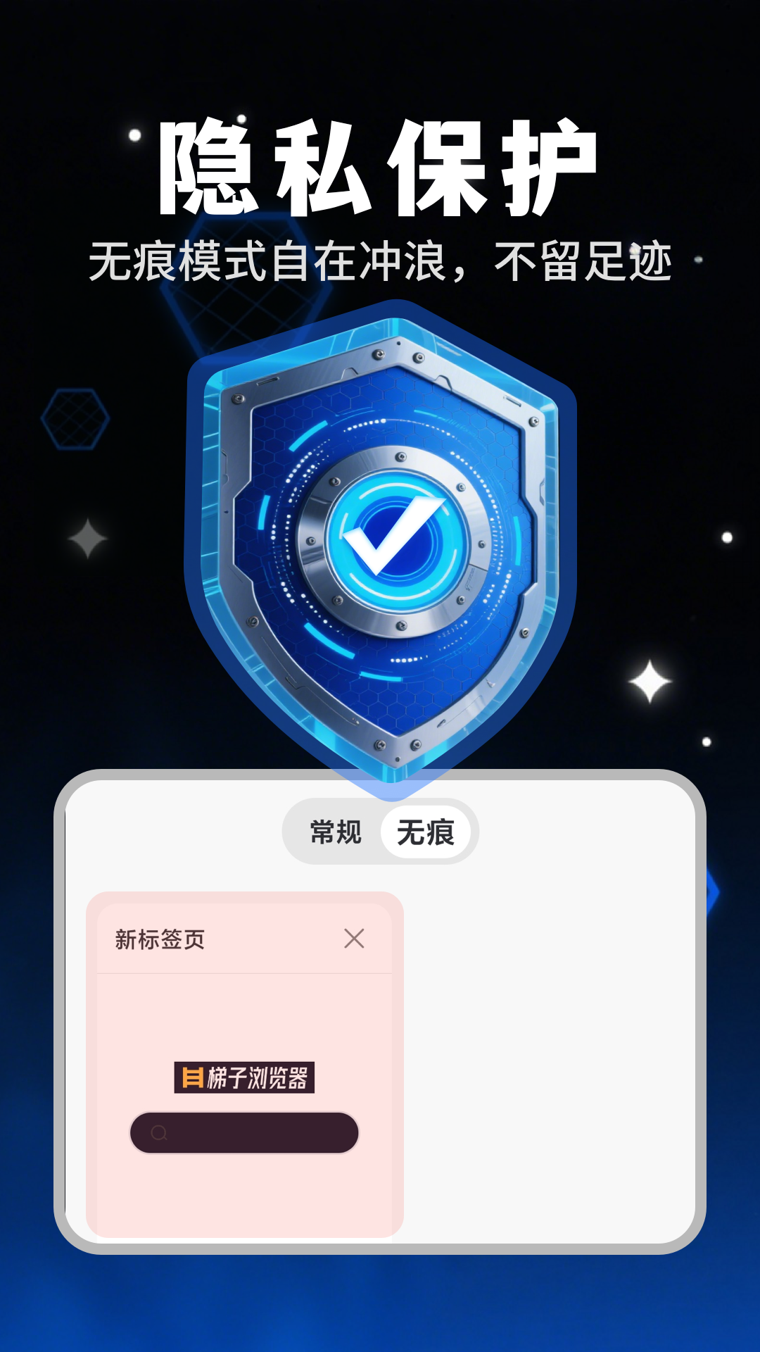 梯子浏览器截图