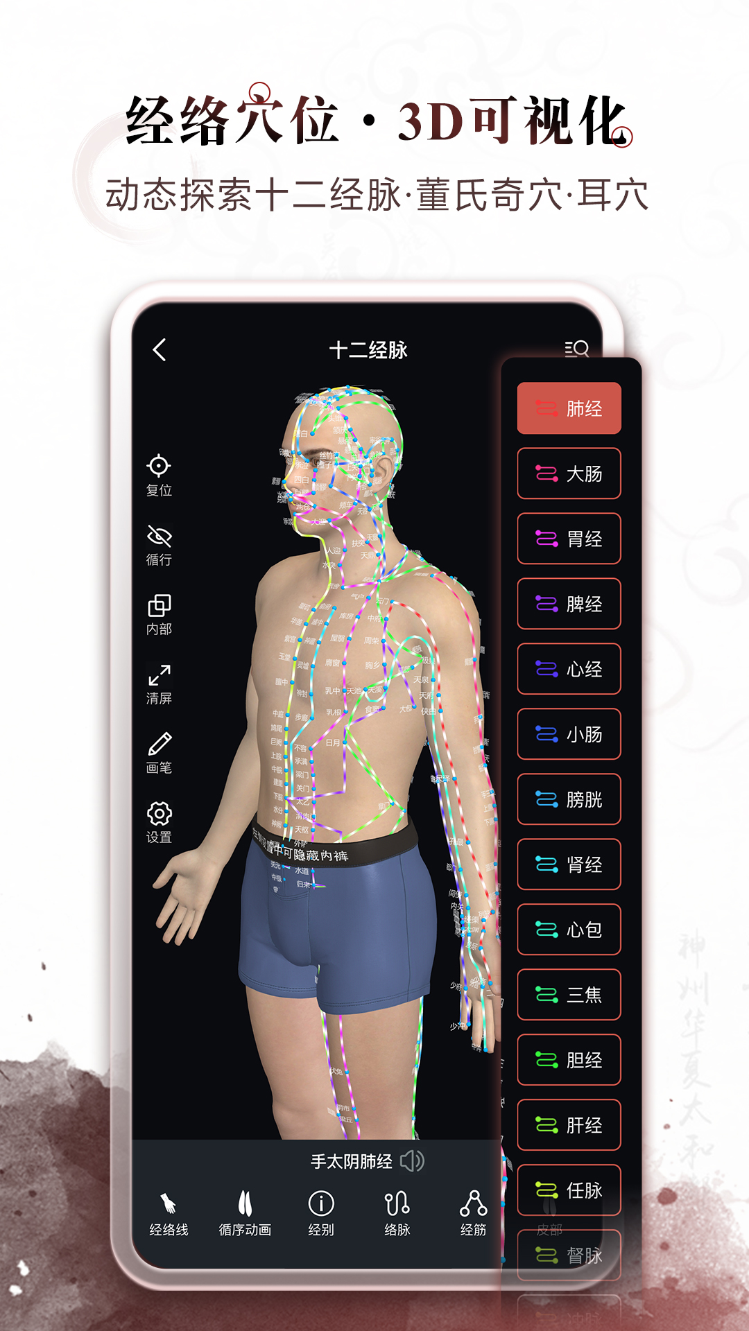 中医经络穴位截图