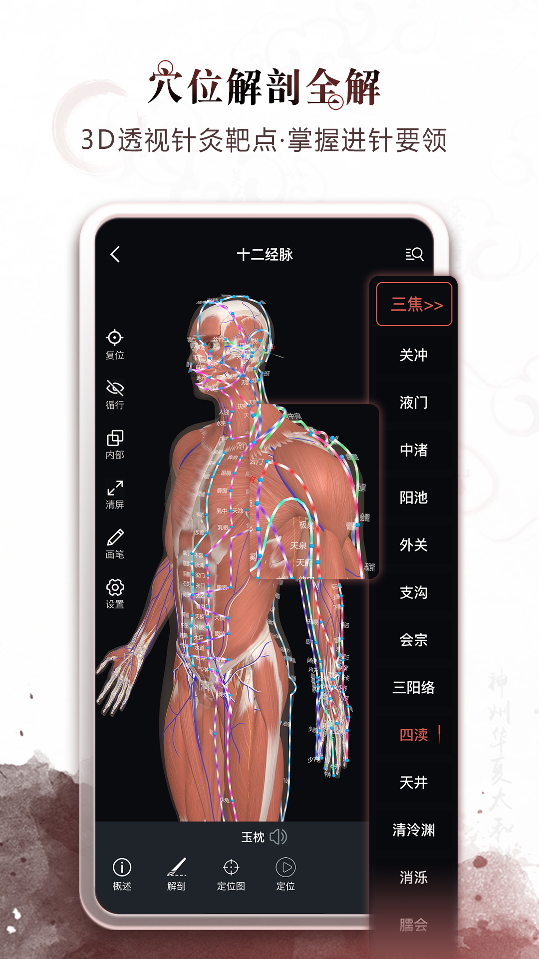 中医经络穴位截图