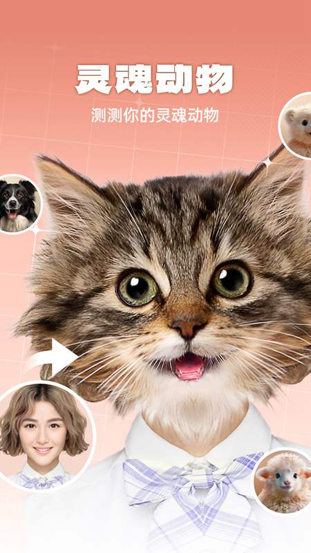 灵魂宠物截图