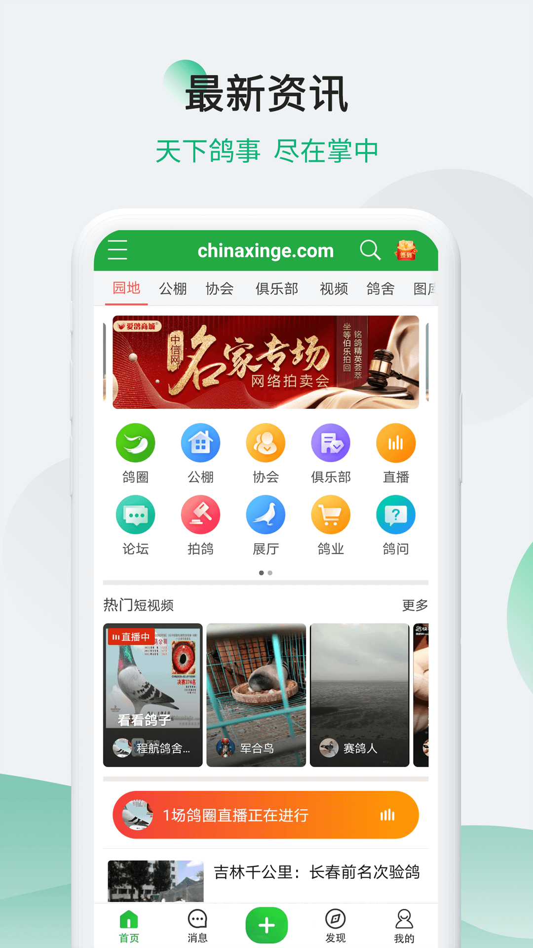 中信网-信鸽信息网截图