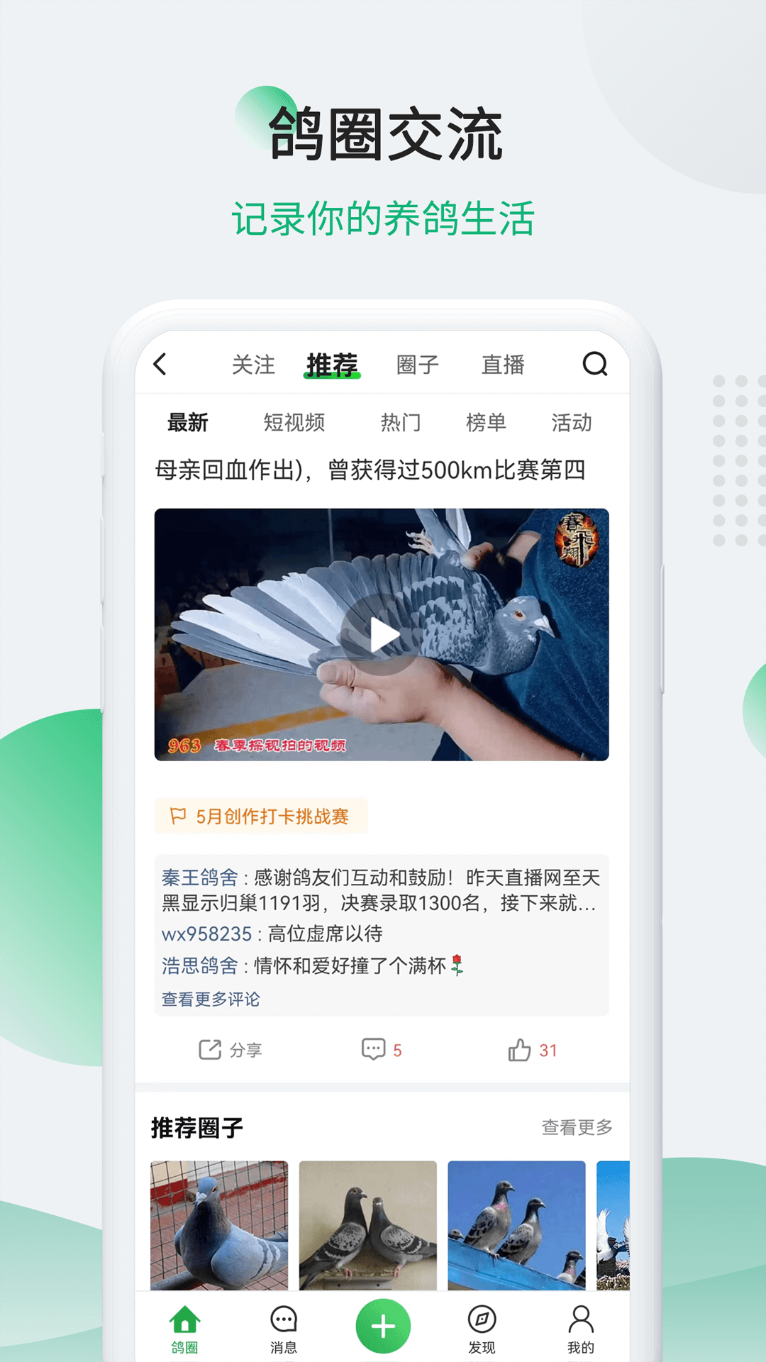 中信网-信鸽信息网截图