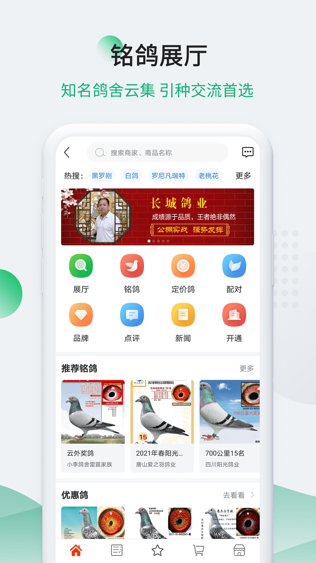 中信网-信鸽信息网截图