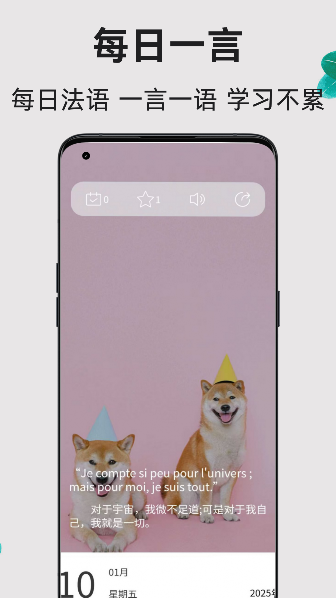 法语翻译通截图